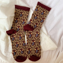 Load image into Gallery viewer, Secret Garden - Jeweltones : Five Pair Sock Set Bundle
